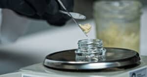 Shot of the rosin packaging process. Shot inside of a cannabis processing laboratory in Oregon, USA.