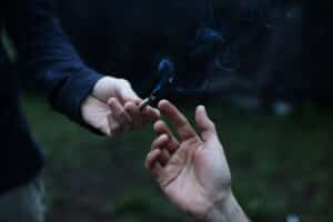 Cannabis